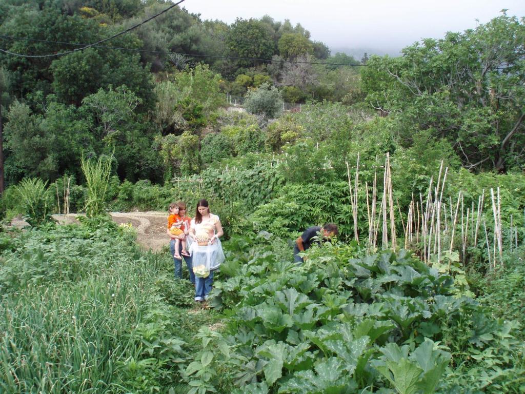Marinos Studios At Lourdata Village Exterior photo